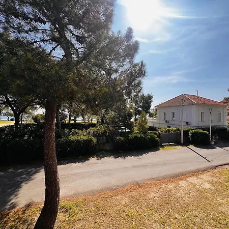 Lejlighed Appartement, Climatisation, Vue - 4 Pers. - Fr-1-309-581 Argelès-sur-Mer